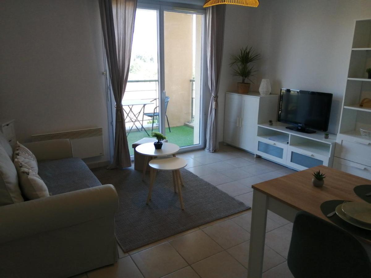 Ferienwohnung Le Cocon De Marie,Piscine, Balcon, Parking Gratuit, Baignoire Carcassonne Exterior foto