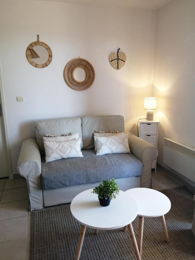 Ferienwohnung Le Cocon De Marie,Piscine, Balcon, Parking Gratuit, Baignoire Carcassonne Exterior foto