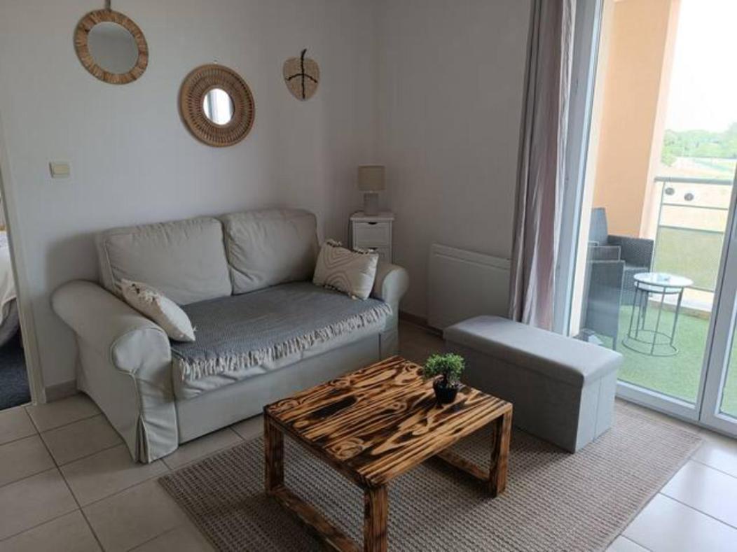 Ferienwohnung Le Cocon De Marie,Piscine, Balcon, Parking Gratuit, Baignoire Carcassonne Exterior foto